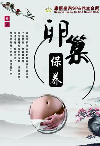 卵巢保养图片