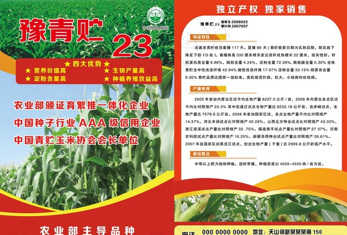 玉米彩页 青贮彩页图片(2480X3508(DPI:300))psd模版下载