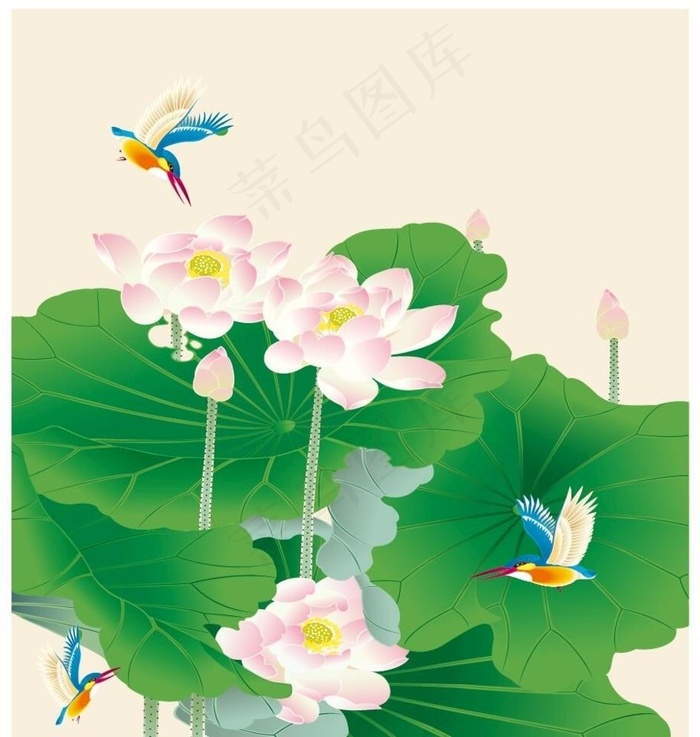 荷花矢量图片