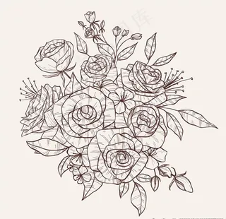 线条手绘矢量花图片