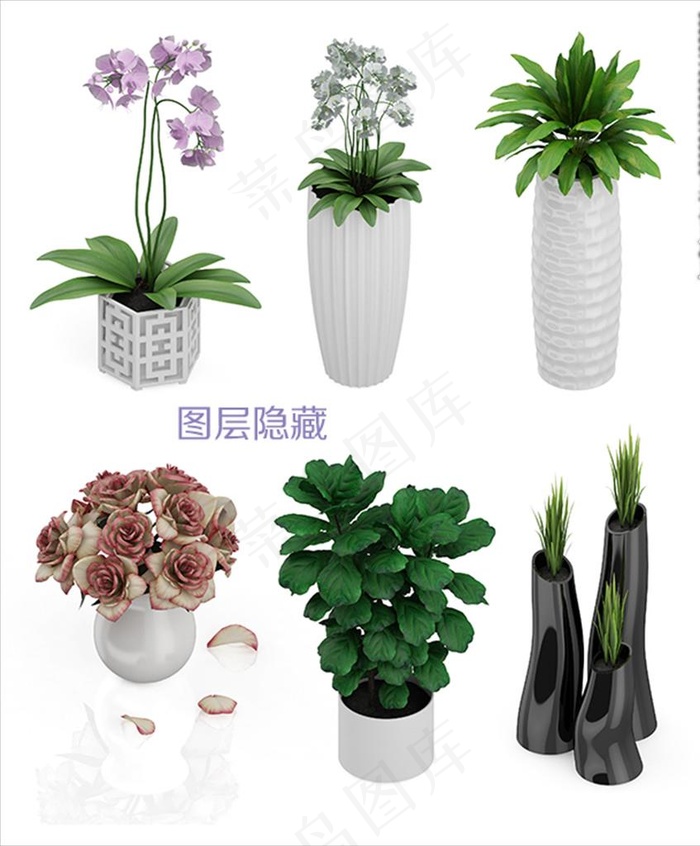 植物盆栽图片psd模版下载