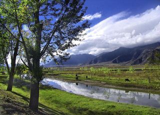 西藏的田原风貌图片
