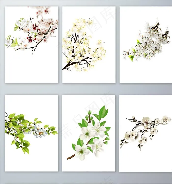 春季梨花花瓣PNG免抠素材图片psd模版下载