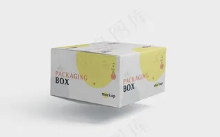 快递包装纸箱立体样机图片
