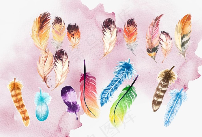 彩色羽毛图片