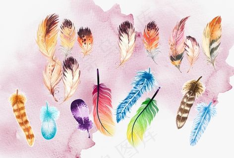 彩色羽毛图片