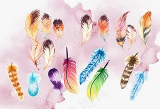 彩色羽毛图片