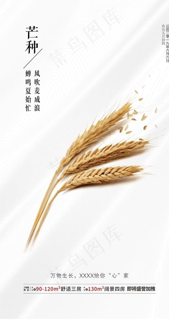 芒种单图图片cdr矢量模版下载