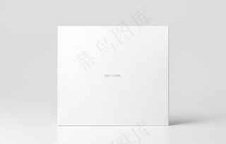 CD贴图样机图片