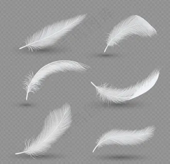 矢量羽毛立体宝色羽毛素材图片