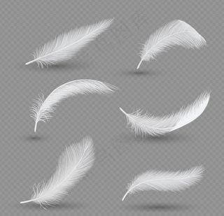 矢量羽毛立体宝色羽毛素材图片