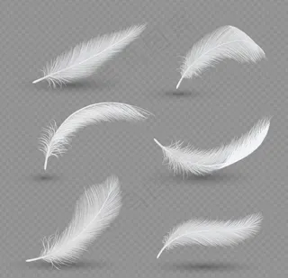 矢量羽毛立体宝色羽毛素材图片