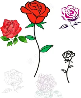 花素材图片 花素材图片
