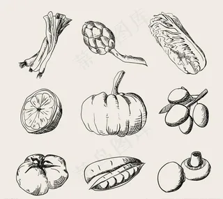 矢量手绘蔬菜图标图片