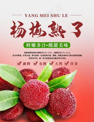 新鲜杨梅水果海报图片