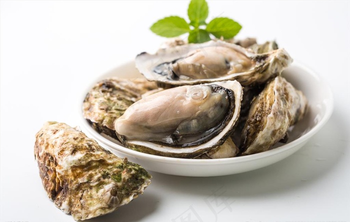 生蚝图片