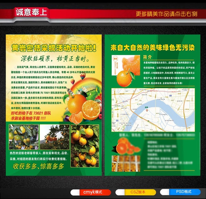 橘子采摘宣传单图片(2551X3437(DPI:300))psd模版下载