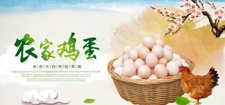 土鸡蛋海报图片