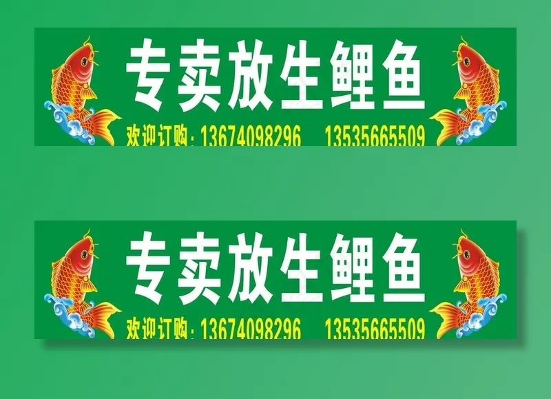 鲤鱼图片cdr矢量模版下载
