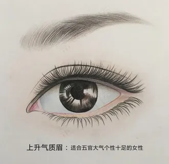 气质眉图片 气质眉图片