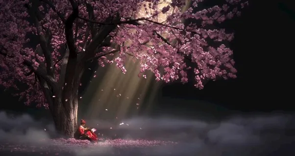 唯美少年锦衣卫电脑桌面主题背景图片 唯美少年锦衣卫电脑桌面主题背景图片