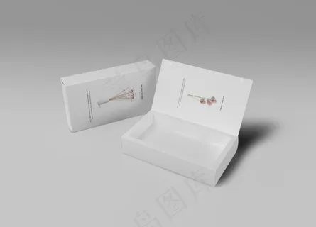 VI包装盒效果图成稿样机图片