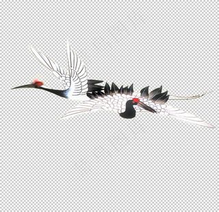 中国风白鹤图片