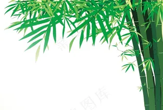 竹子图片