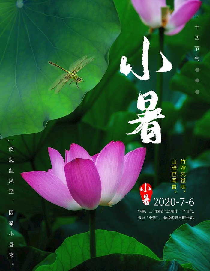 小暑图片(1701X2268(DPI:72))psd模版下载