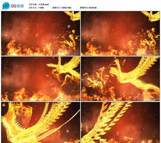 火凤凰 舞台大屏幕背景视频素材