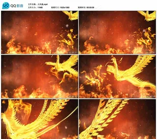 火凤凰 舞台大屏幕背景视频素材