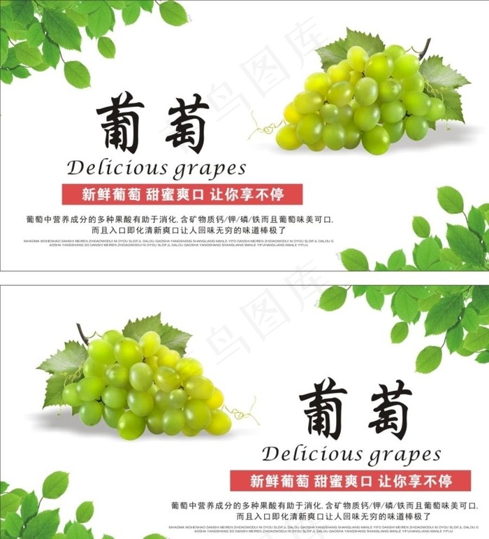葡萄图片cdr矢量模版下载