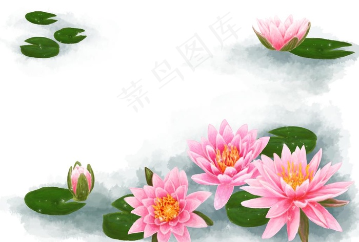 荷花荷叶图片(4961X3508(DPI:300))psd模版下载