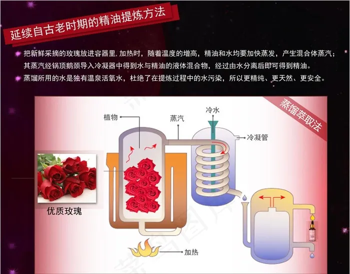 玫瑰精油提炼过程图片psd模版下载