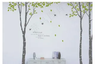 白桦树之树梢林荫图片