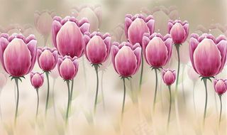 装饰画背景墙图片