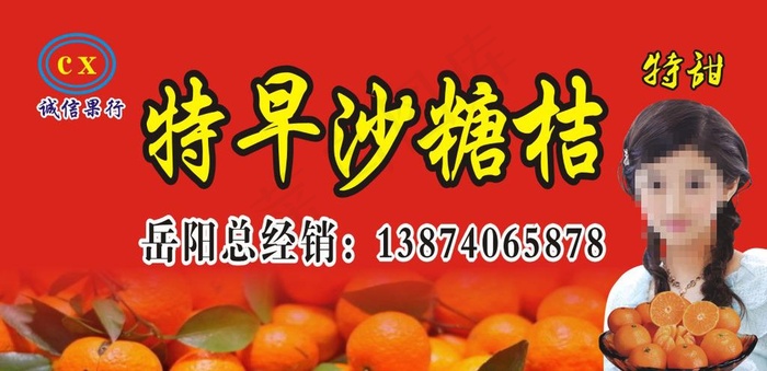 特早沙糖桔图片