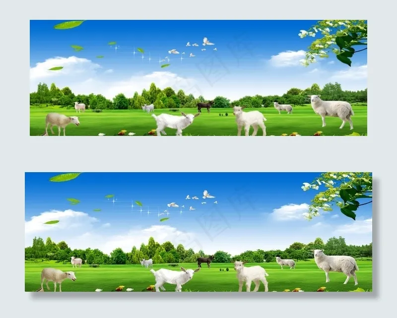 草原羊海报图片(6803X2551(DPI:72))psd模版下载