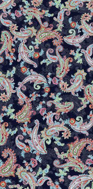 彩色腰果花图片