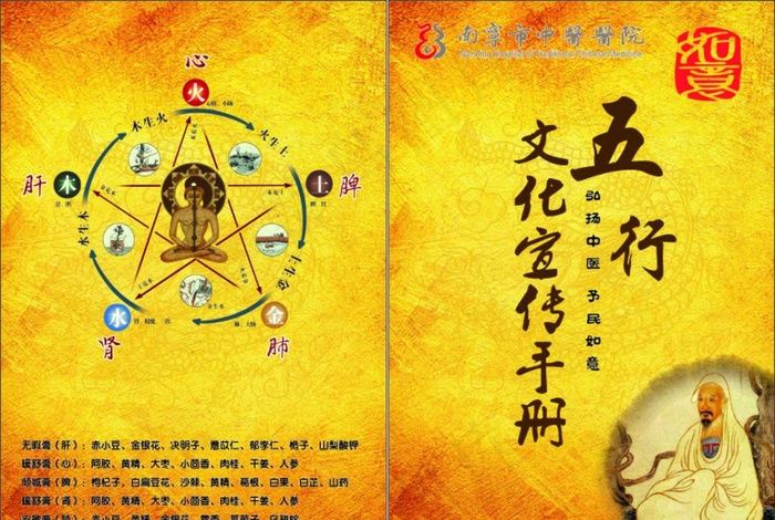 五行宣传 五行彩页 中医院图片