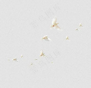 鸟免抠元素图片