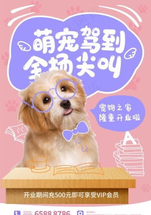 萌宠海报图片