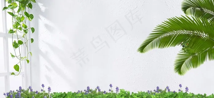 绿植背景图片