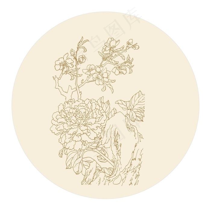 牡丹白描图片