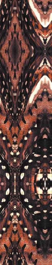 数码印花花型图片