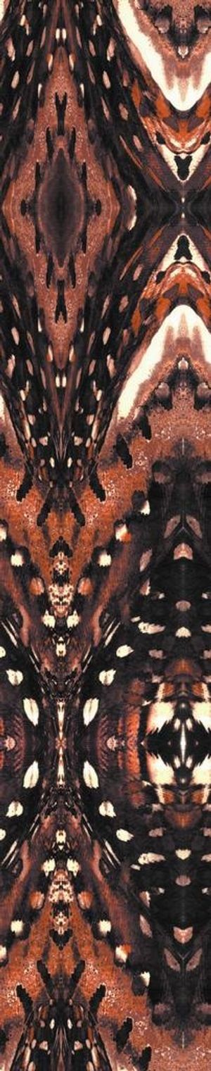 数码印花花型图片