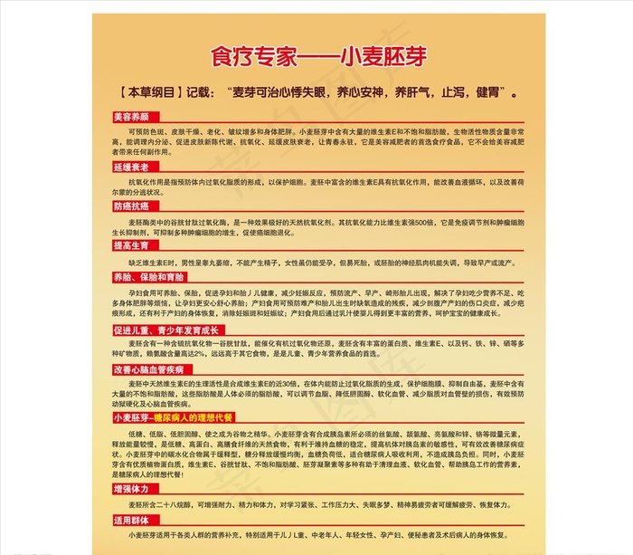 食疗专家 小麦胚芽图片