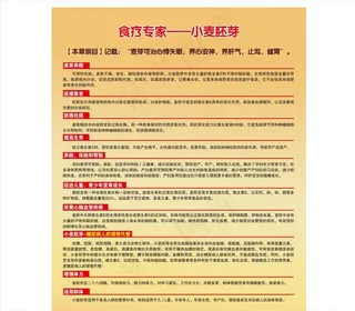 食疗专家 小麦胚芽图片