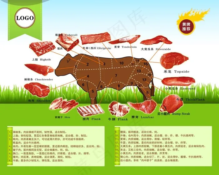 牛肉分解图图片(8640X7200(DPI:183))psd模版下载