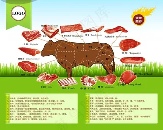 牛肉分解图图片
